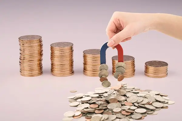 甘肃韭菜美食做法