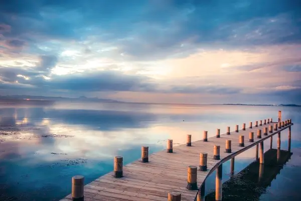 李子美食做法大全