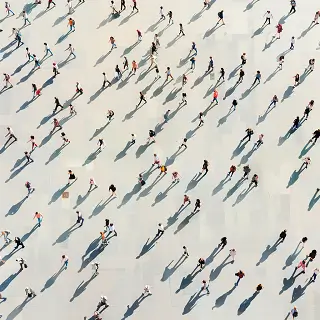 鲶鱼和草鱼哪个好