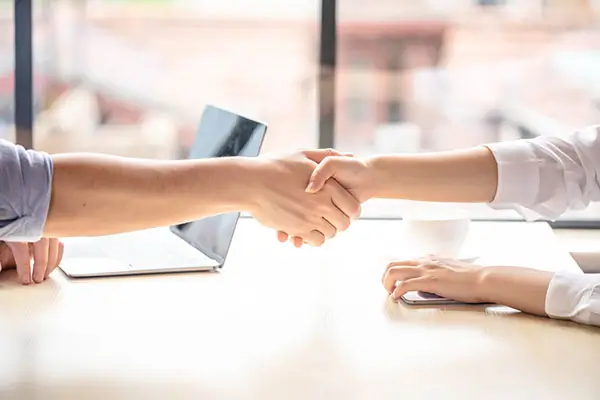 郴州甲鱼美食做法