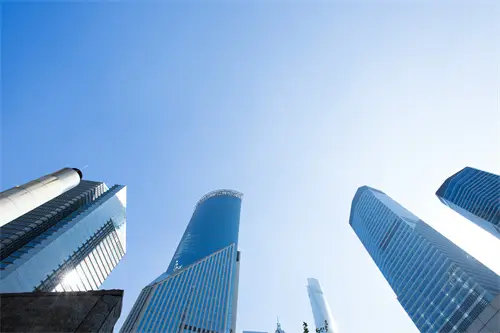 莲雾的美食做法